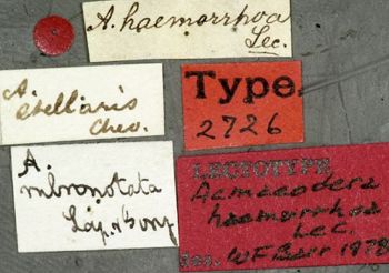 Media type: image;   Entomology 2726 Aspect: labels